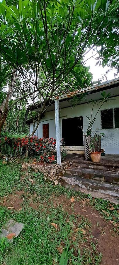 Pai Yard Guest House Exterior photo
